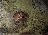 Reconstruction of bronze Riace Warrior A, Vinzenz Brinkmann, Bronze cast