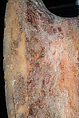 Reconstruction of a marble finial in the form of a sphinx, Vinzenz Brinkmann, Cast from polymethyl metacrylate, natural pigments in egg tempera, gold foil, and copper