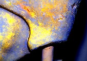 Reconstruction of a marble finial in the form of a sphinx, Vinzenz Brinkmann, Cast from polymethyl metacrylate, natural pigments in egg tempera, gold foil, and copper