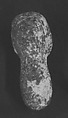 Fossilized sea sponge head of a figure, Fossilized sea sponge, Cycladic