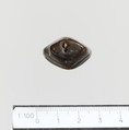 Seal, conoid, Steatite, Minoan