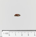 Seal, Serpentine, Minoan