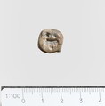 Seal, Serpentine (burnt), Minoan, Crete