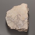 Wall painting fragment with a swan, Fresco, Roman