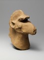 Terracotta head of a horse, Terracotta, Greek