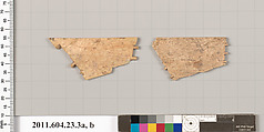 Bone or ivory fragments, Bone