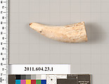Bone or ivory fragment, Bone