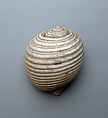Shell, Shell