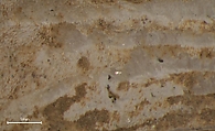 Fossilized sea sponge head of a figure, Fossilized sea sponge, Cycladic