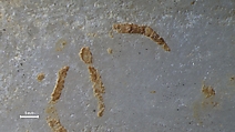 Marble palette, Marble, Cycladic