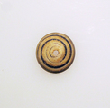 Glass spindle whorl, Glass, Roman
