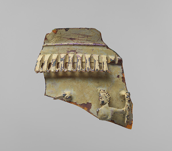 Glass cage cup fragment