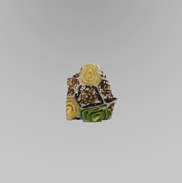 Glass mosaic fragment by an unrecorded maker, The Metropolitan Museum of Art