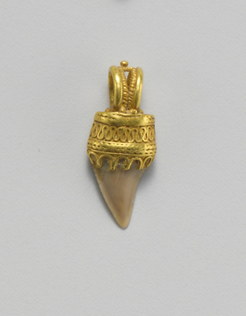 Tooth pendant set in gold by an unrecorded maker, The Metropolitan Museum of Art