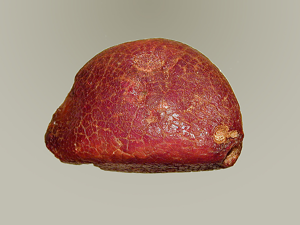 Amber from bow of a fibula (safety pin) by an unrecorded maker, The Metropolitan Museum of Art
