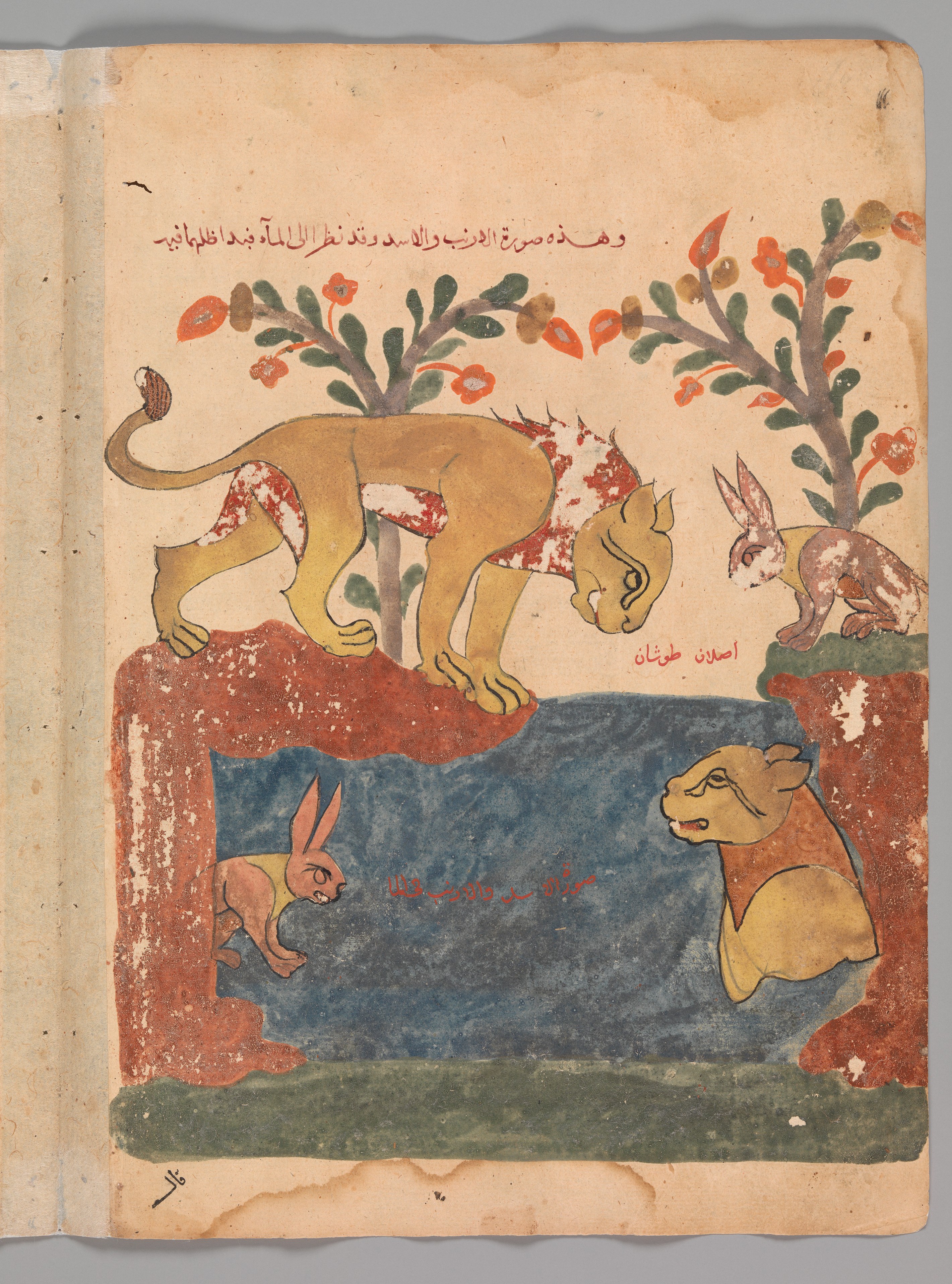 "The Hare, the Lion, and the Well", Folio from a Kalila wa 