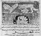 "Fable of the Lion and the Hare", Folio from a Kalila wa Dimna, Opaque watercolor and gold on paper