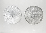 Planispheric Astrolabe, Muhammad Zaman al-Munajjim al-Asturlabi (Iranian, active 1643–1689), Brass and steel; cast and hammered, pierced and engraved