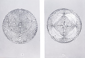 Planispheric Astrolabe, Muhammad Zaman al-Munajjim al-Asturlabi (Iranian, active 1643–1689), Brass and steel; cast and hammered, pierced and engraved