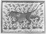 " A Lion", Folio from a Dispersed Nuzhatnama-i ‘Ala’i of Shahmardan ibn Abi’l Khayr, Shamardan ibn Abi &#39;l Khayr (Iranian, active late 11th–early 12th century), Ink, opaque watercolor, and gold on paper
