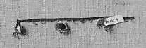 Oyah (Biblia), Silk