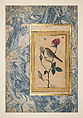 "Two Nightingales in a Rose Bush", Double-Sided Illustrated Leaf from an Ottoman Album, &#39;Abdullah Bukhari (Turkish, active ca. 1725–50s), Opaque watercolor with black ink, shell, and gold leaf on paper, with a marbled paper margin