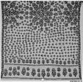 Shawl, Cotton; embroidered in silk