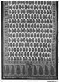 Shawl of Joined Fragments, Wool; double interlocking twill tapestry weave, pieced