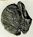 Coin, Copper