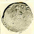 Coin, Silver
