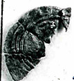Coin, Silver