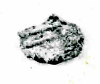 Coin, Copper
