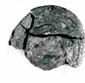 Coin, Copper