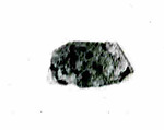 Coin, Copper