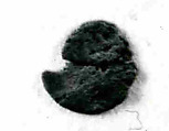 Coin, Copper
