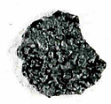 Coin, Copper