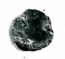 Coin, Copper