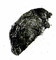 Coin, Copper