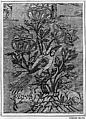 Fragment of Garment, Silk; twill brocade