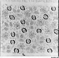 Textile Fragment, Linen, silk, metal wrapped thread; plain weave, embroidered