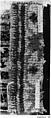 Carpet Fragment, Wool; symmetrically knotted pile