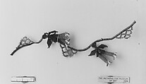 Oyah (Bibilia), Silk