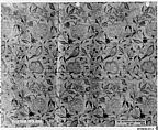 Textile Panel with Birds amid Flowering Vines, Silk, metal wrapped thread; taqueté