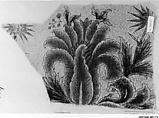Fragment of a Veil (Yashmak), Cotton; pounced and painted