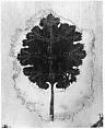 Textile Fragment with a Leaf, Wool, linen; plain weave, tapestry weave