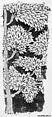 Pashmina Carpet Fragment, Silk (warp and weft), pashmina wool (pile); asymmetrically knotted pile