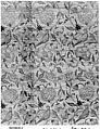 Textile Panel with Birds amid Flowering Vines, Silk, metal wrapped thread; taqueté