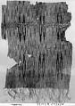Tiraz Textile Fragment, Cotton, ink, and gold; plain weave, resist-dyed (ikat), painted
Inscription: black ink and gold leaf; painted