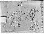 Kitab suwar al-kawakib al-thabita (Book of the Images of the Fixed Stars) of al-Sufi, `Abd al-Rahman al-Sufi (Iranian, Rey 903–986 Shiraz), Ink and gold on paper; leather binding