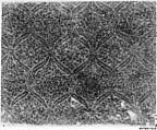 Textile Fragment, Cotton, plain weave; block-printed, mordant dyed